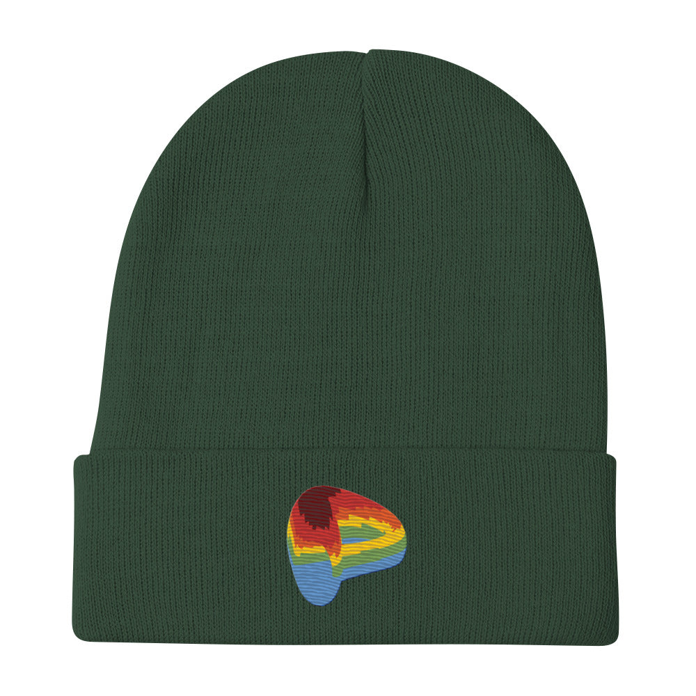 Curve Finance beanie