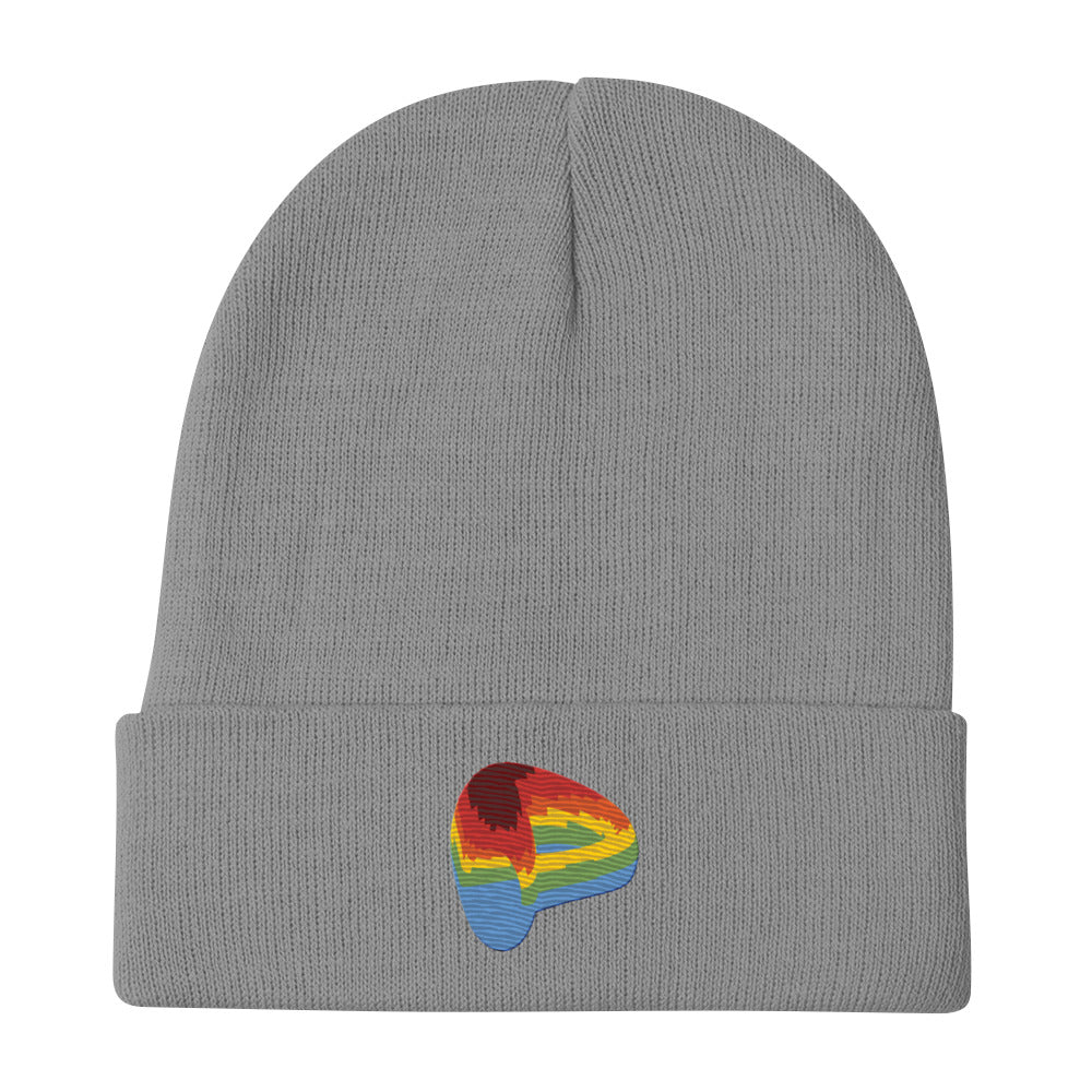 Curve Finance beanie