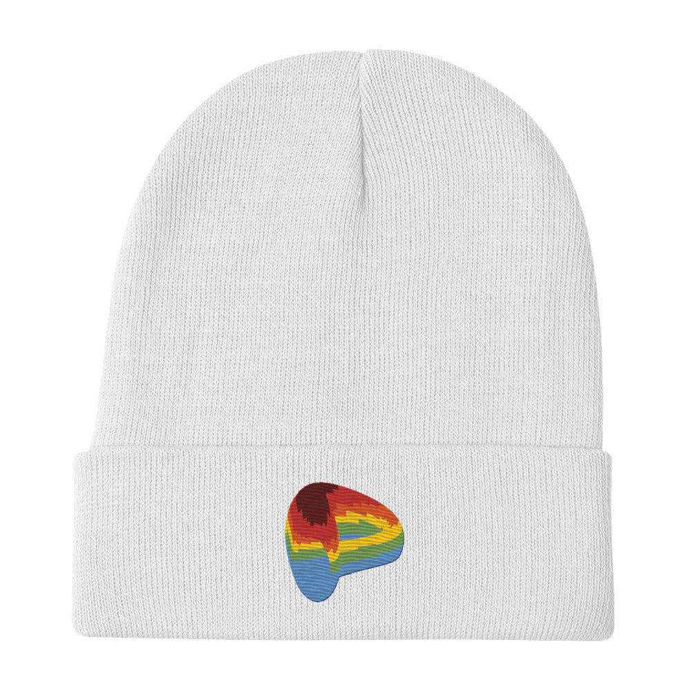 Curve Finance beanie