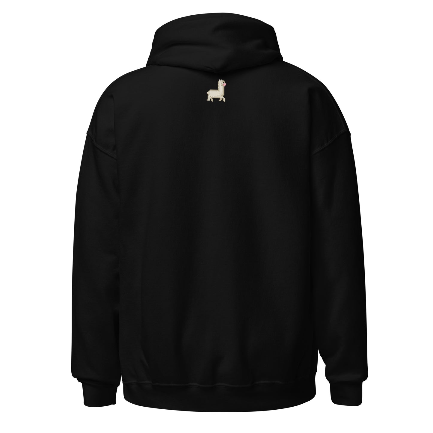 Curve Finance Hoodie