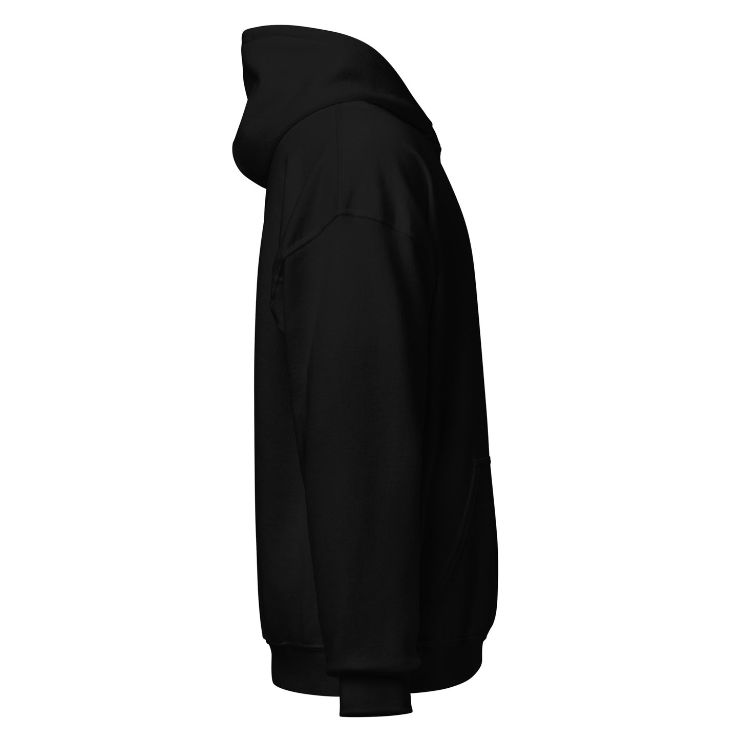 Curve Finance - Unisex Hoodie