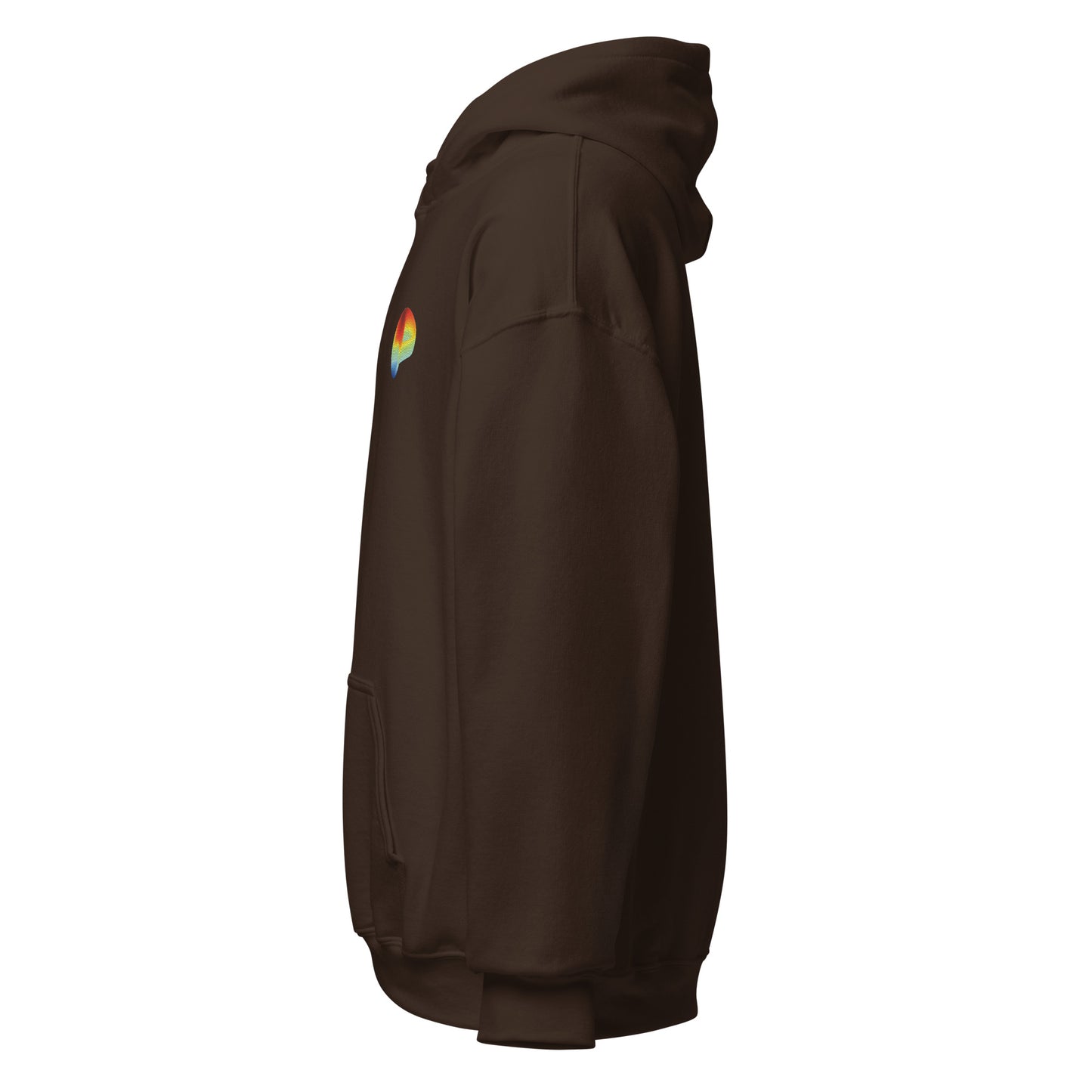 Curve Finance Hoodie