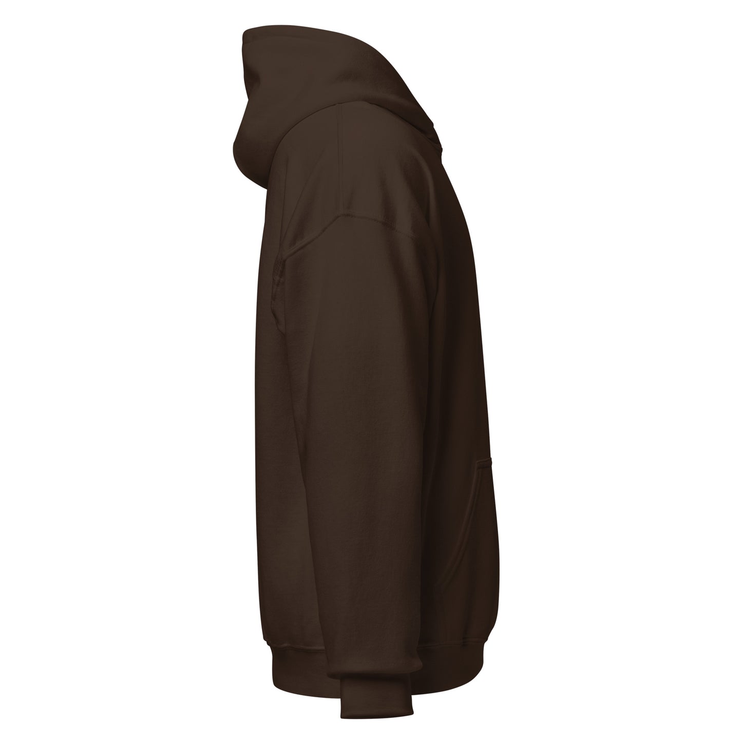 Curve Finance Hoodie