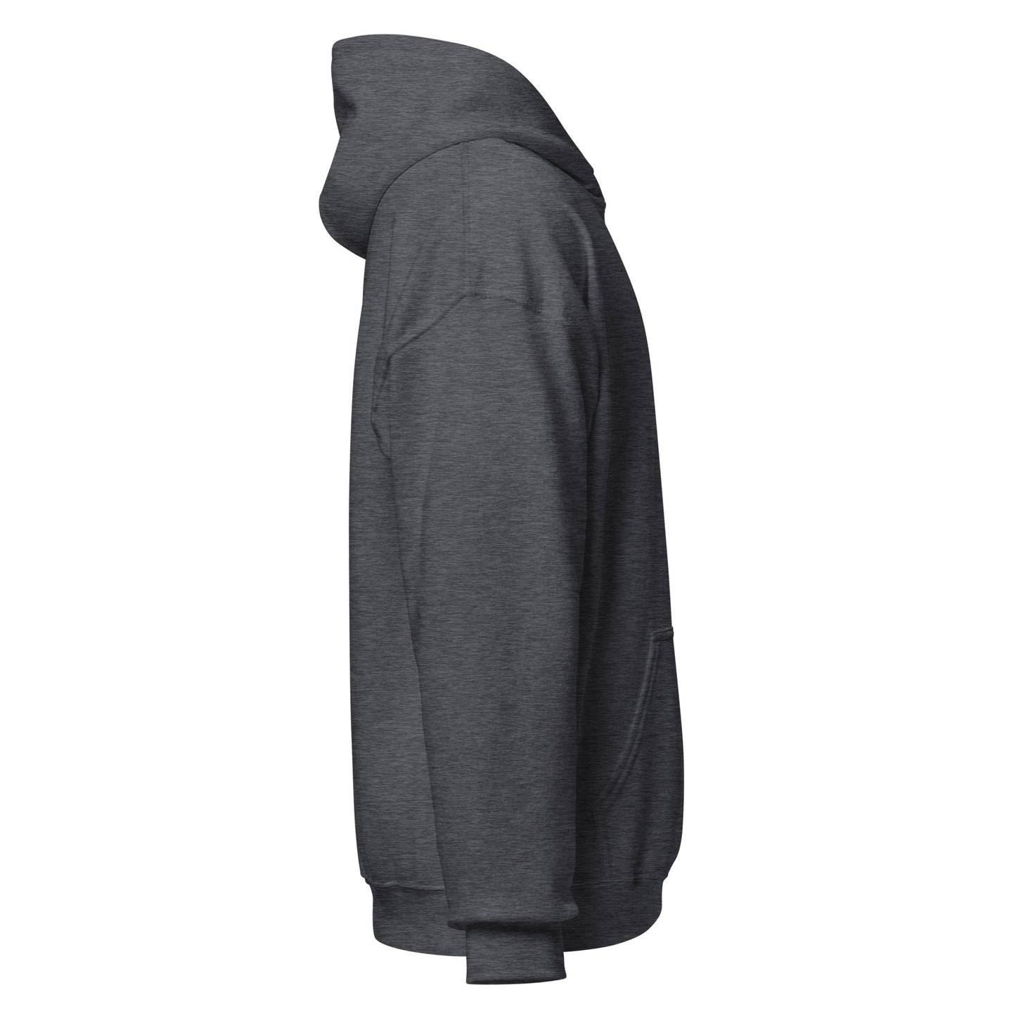 Curve Finance Hoodie