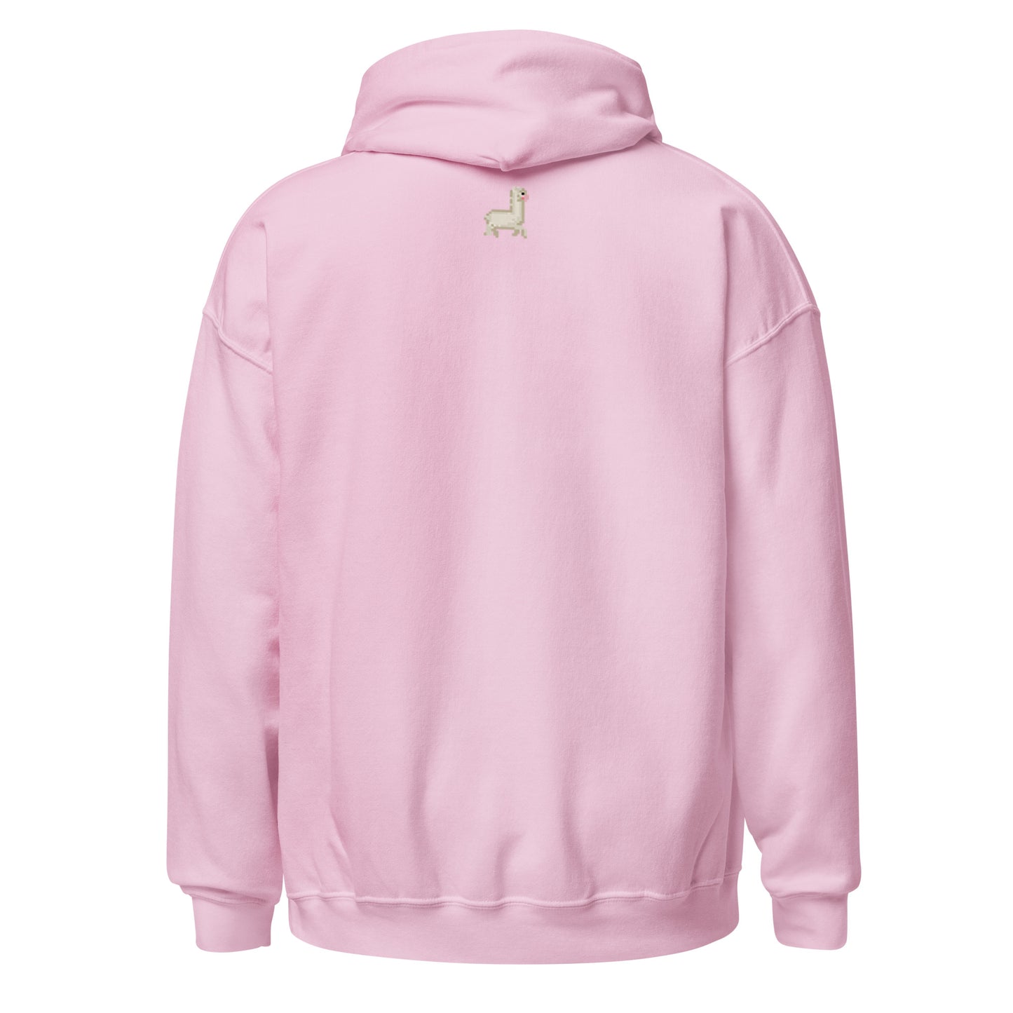 Curve Finance Hoodie