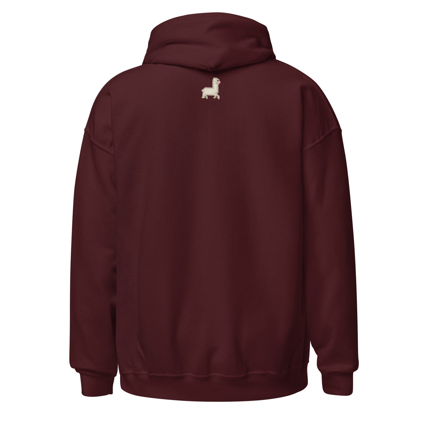 Curve Finance Hoodie