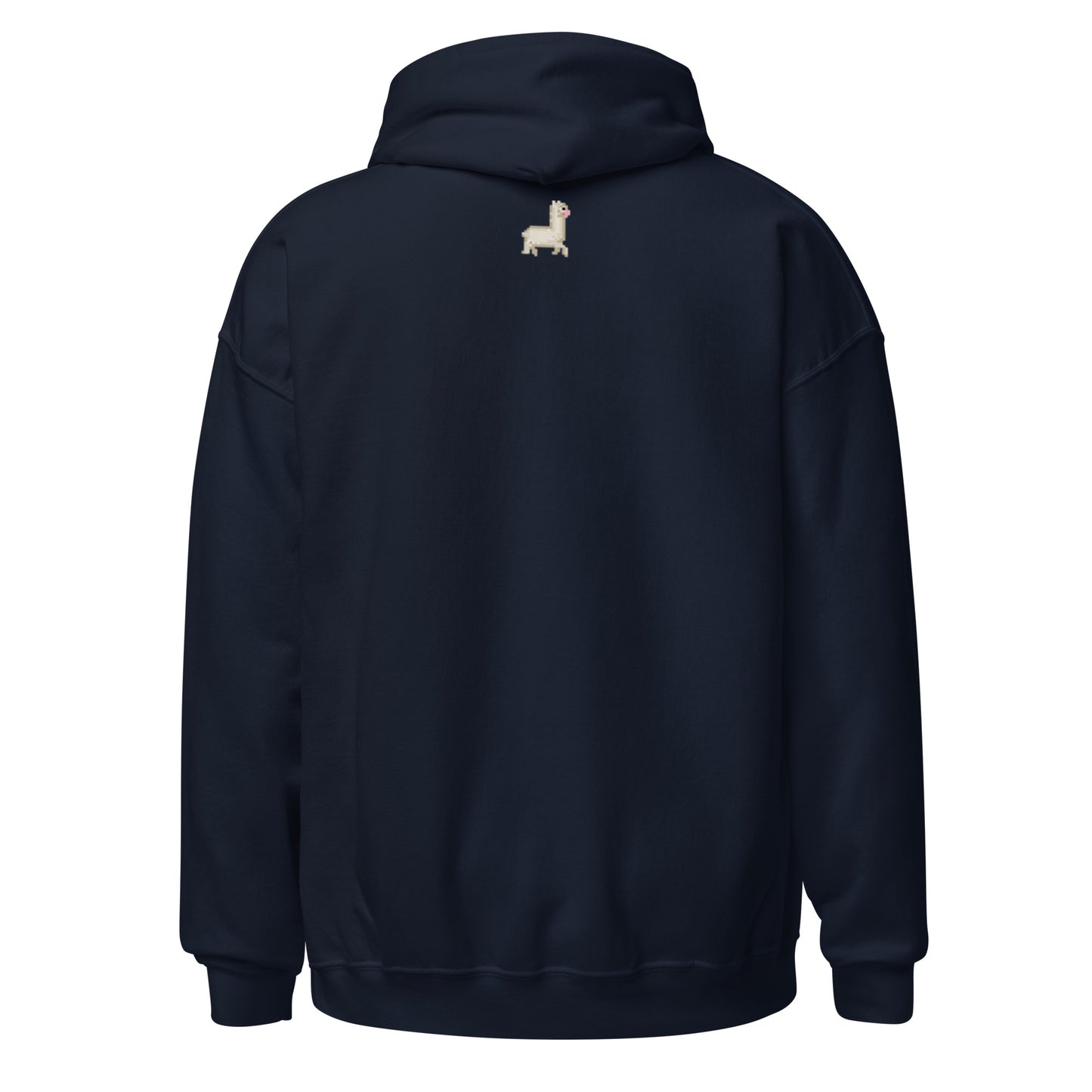 Curve Finance Hoodie