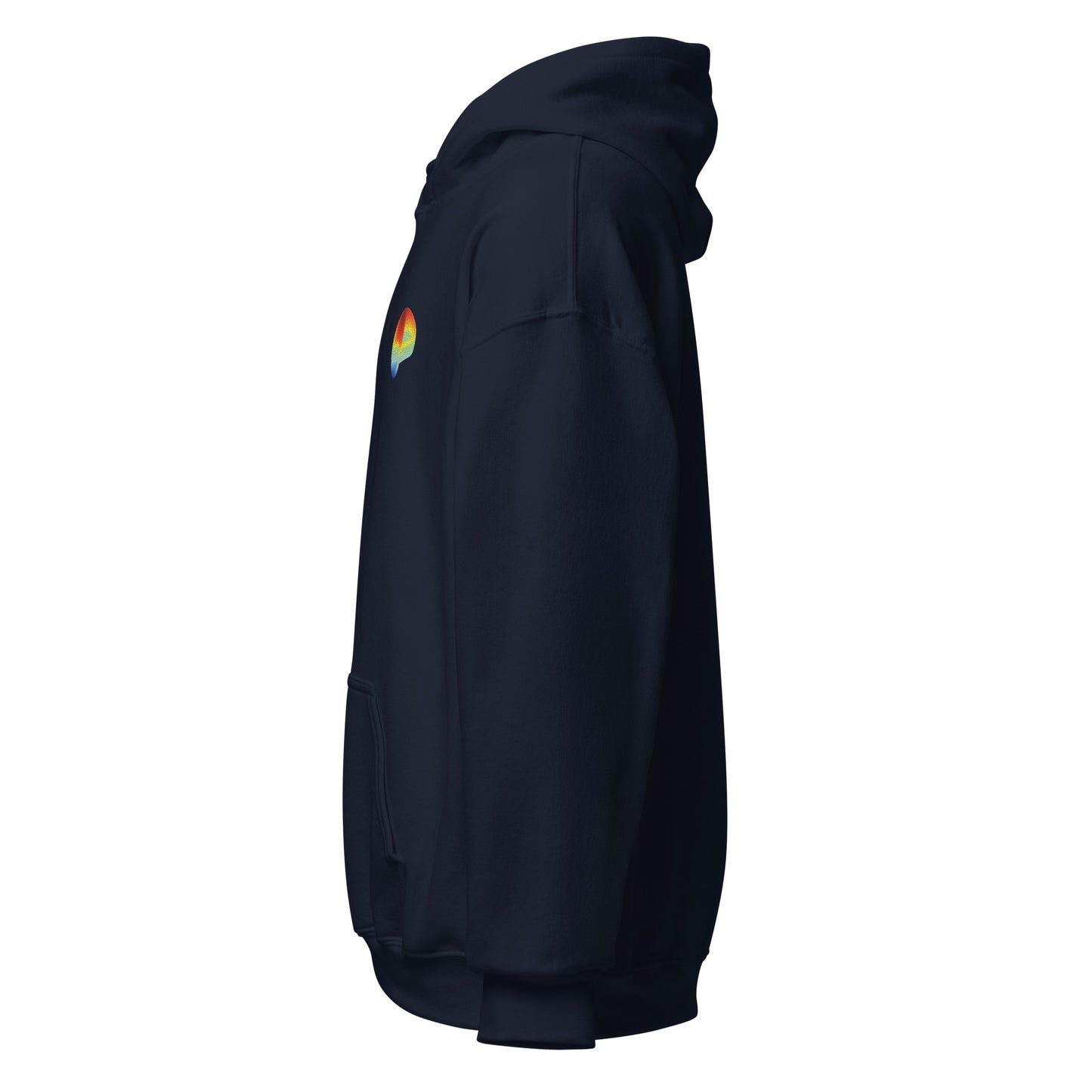 Curve Finance Hoodie