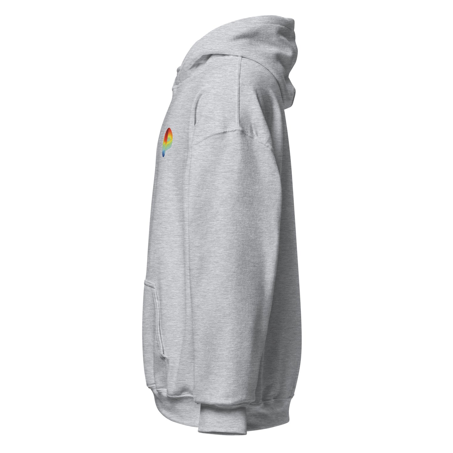 Curve Finance - Unisex Hoodie