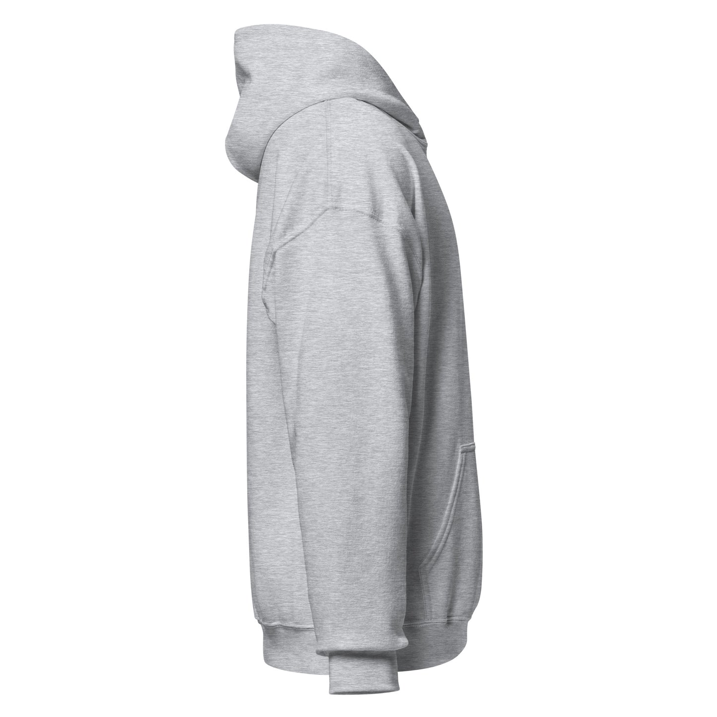 Curve Finance Hoodie