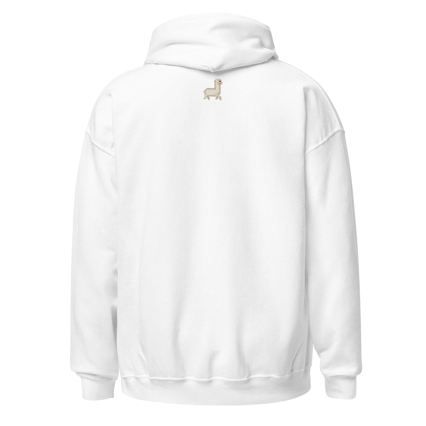 Curve Finance Hoodie