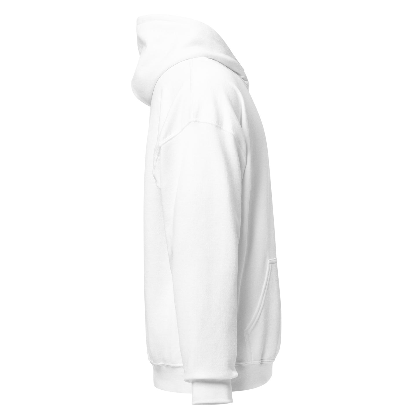 Curve Finance Hoodie