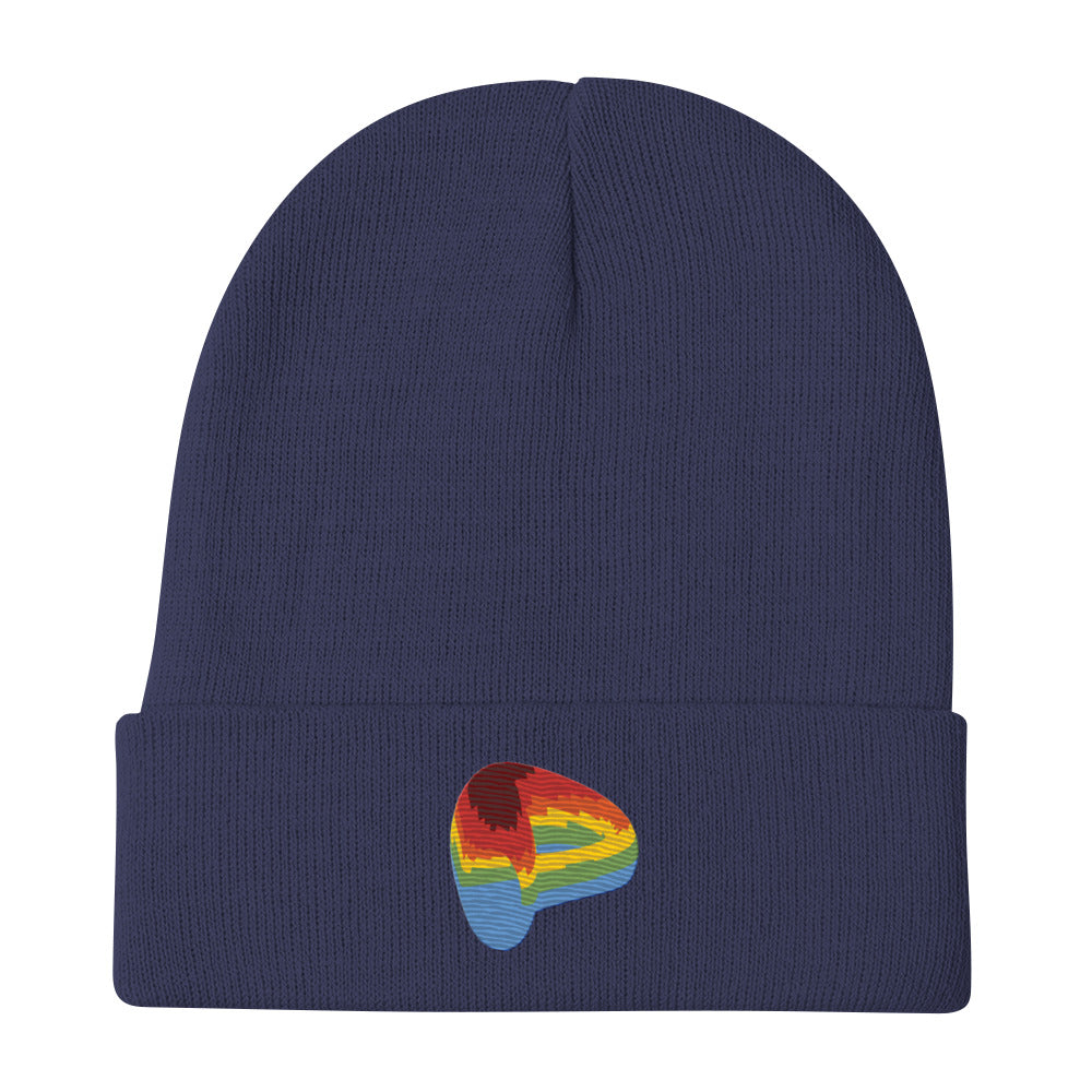 Curve Finance beanie