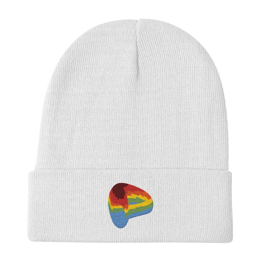 Curve Finance beanie